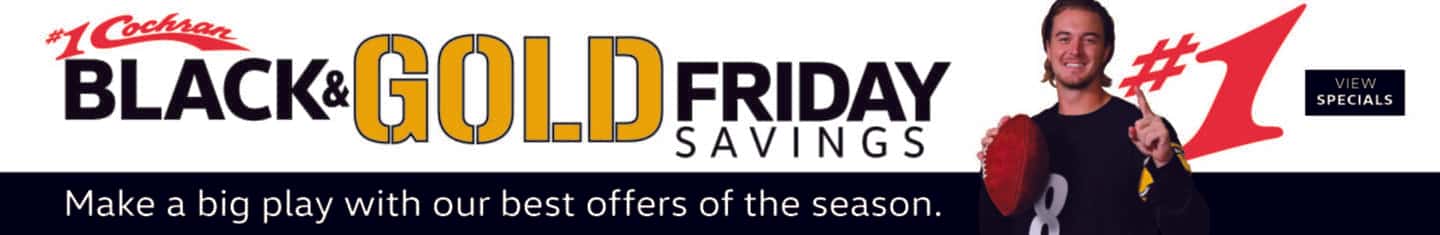 Nov 23 Black And Gold Friday Homepage Top Banner_VW