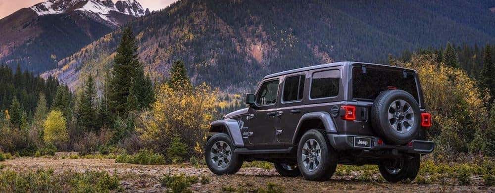 2019 Jeep Wrangler Trim Levels | Allen Samuels CDJR Aransas Pass