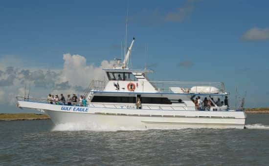 Dolphin Tours in Port Aransas near Port A Escapes