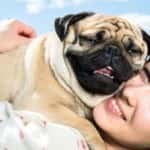 Traveling With a Dog