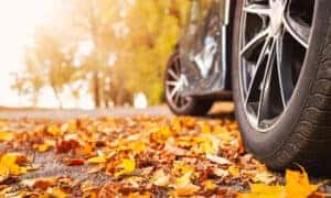Tires Fall Leafs