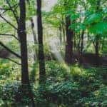 hiking path near louisville kentucky