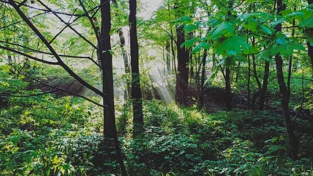 hiking path near louisville kentucky