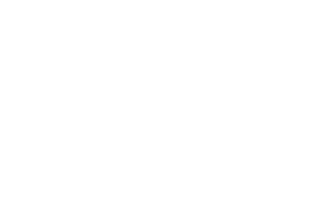 Amp Research Logo