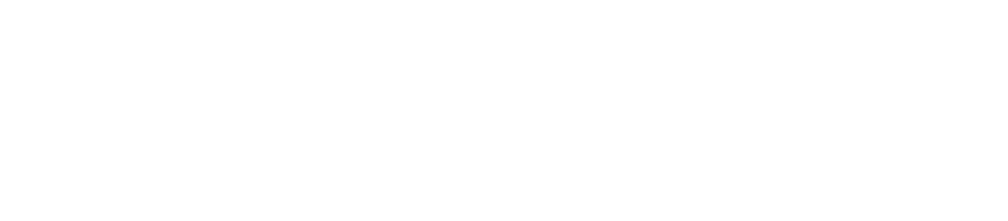 Arena Wheel Co Logo
