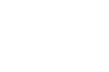 Fox Logo