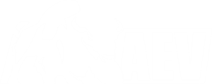 AEV White Logo