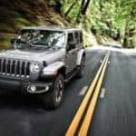 2019 Jeep Wrangler forest