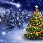 Christmas Tree Illustration Against Snowy Pinewood Background