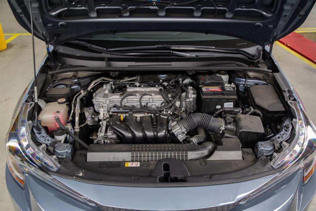 Toyota Minor Service Special