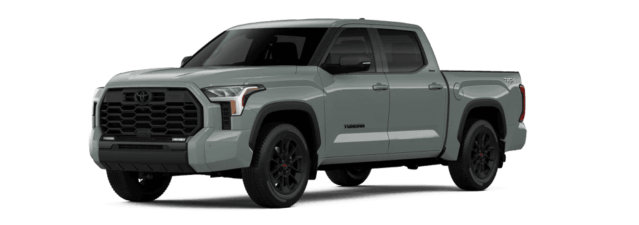 Tundra in Lunar Rock