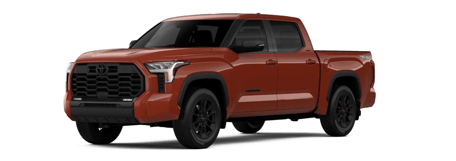 Tundra in Terra