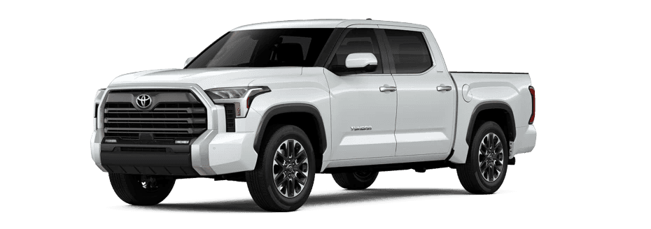Tundra in Wind Chill Pearl