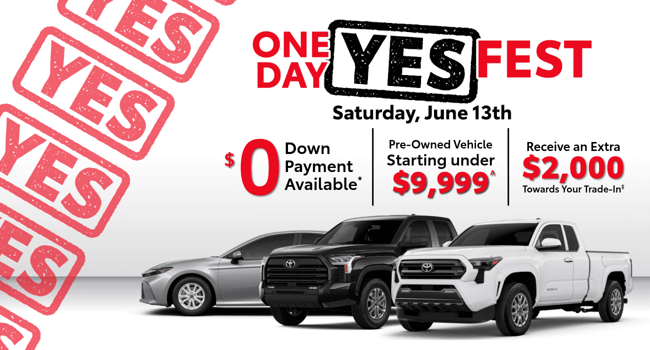 ONE DAY YES FEST