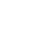 bronco_logo