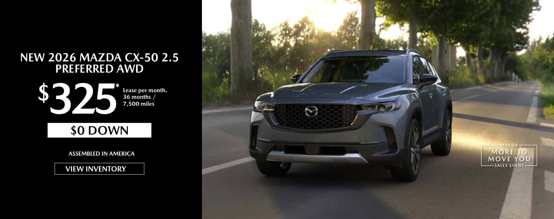 august-cx50-web