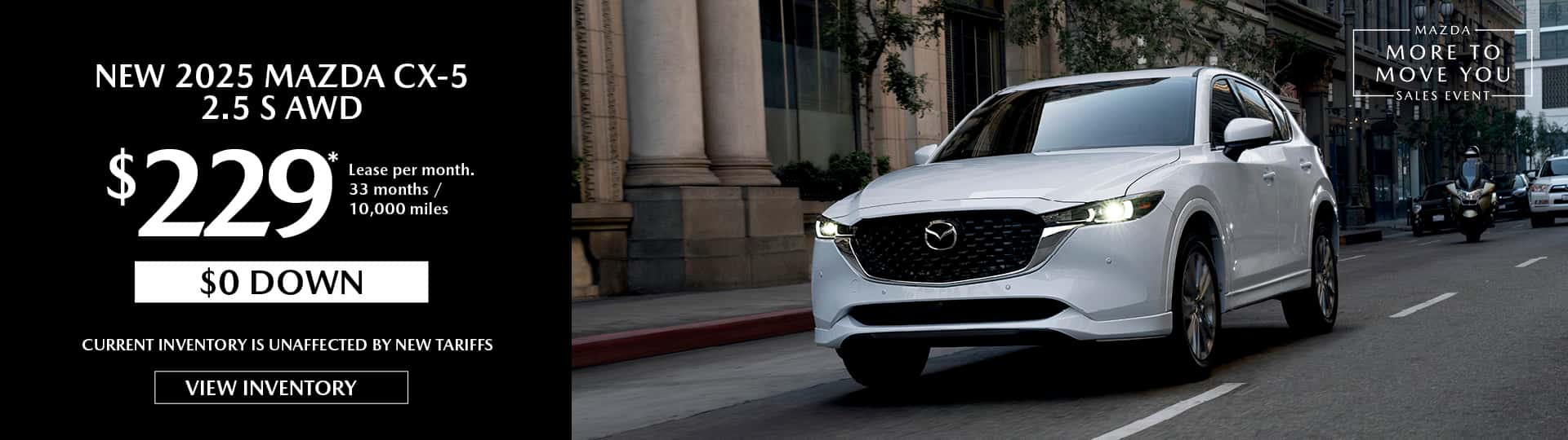 cx5&#8211;229-web-r
