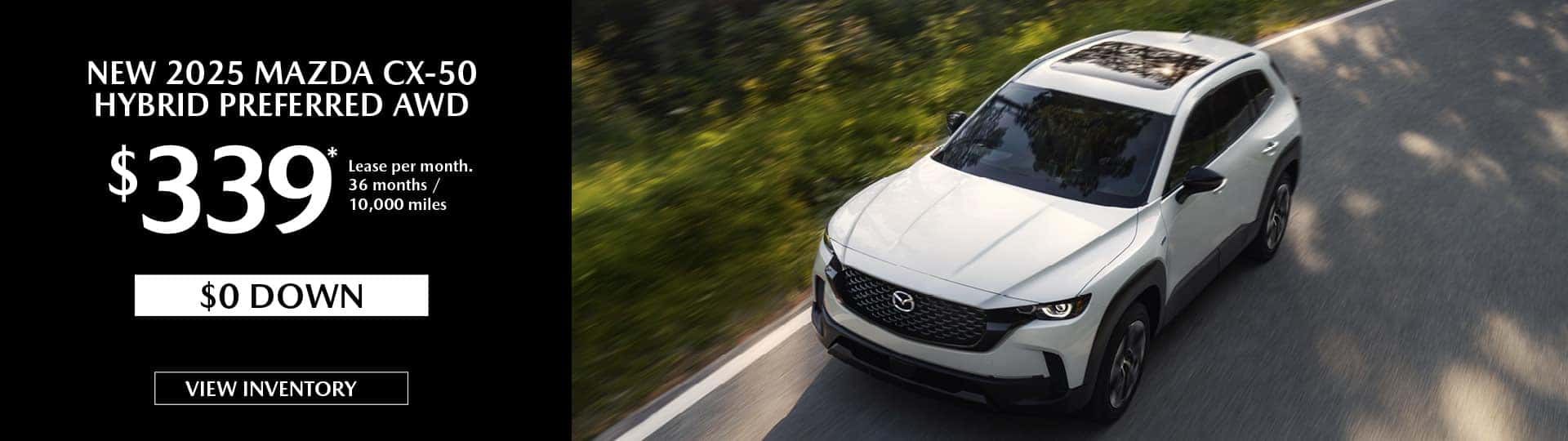 cx50-hybro–339-web-r
