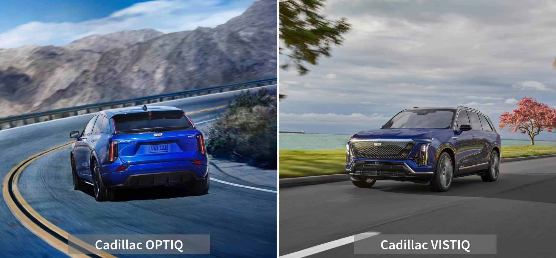 Optiq-vs-Vistiq-performance
