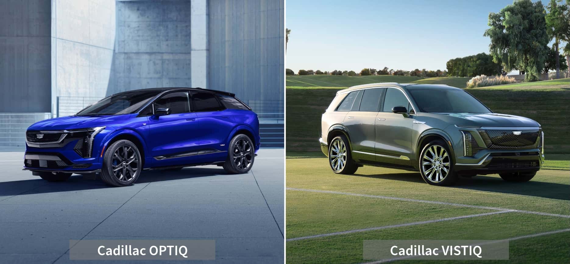 Optiq-vs-Vistiq