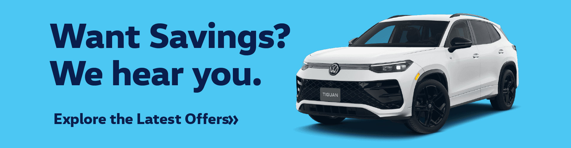 VW Evergreen Banner
