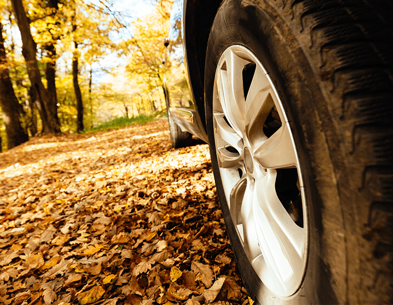 Why drivers should consider an extended warranty on their Mazda at Lancaster Mazda | Close up of car wheel driving on a road filled with leafs