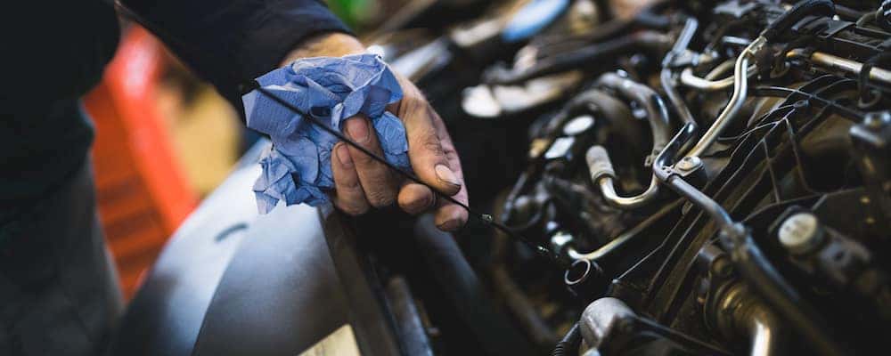 technician checking oil