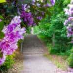 Meadowlark Botanical Gardens