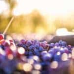 Virginia Wine Festival