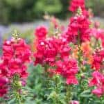 Walk On The Hill