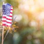 4th Of July At Fairfax High School