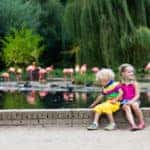 Roer’s Zoofari