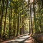Washington & Old Dominion Railroad Regional Park