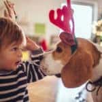 Cute little dog and cute little boy, dressed up as reindeer