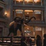 The Man Who Founded the Smithsonian Institute