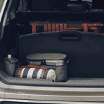 Why Florida Families Love the 2026 Rogue’s Divide-N-Hide® Cargo System post