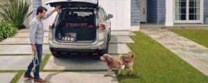 man and dog next to a nissan parked in the driveway