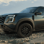 Florida Love Bug Season: How to Protect Your Nissan’s Paint and Windshield post