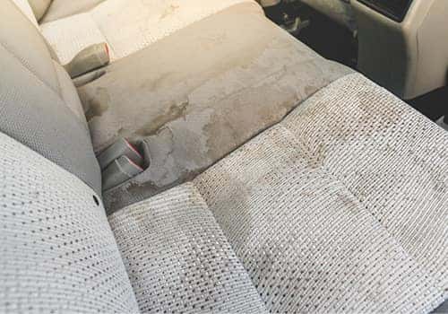 Flood damaged cars tend to have Water damaged interiors.