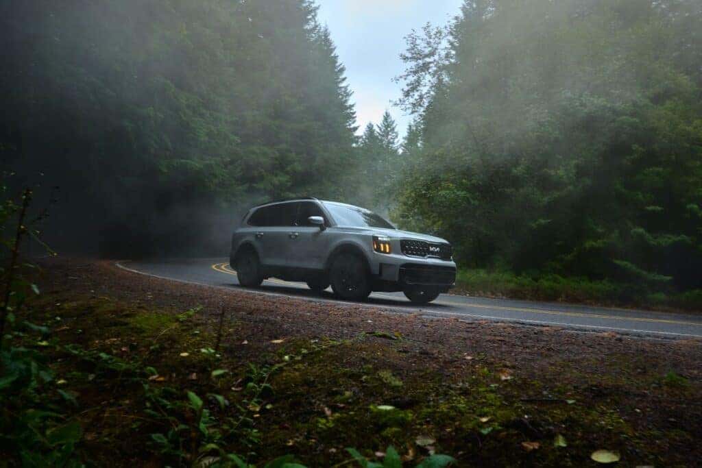 Kia Telluride among trees