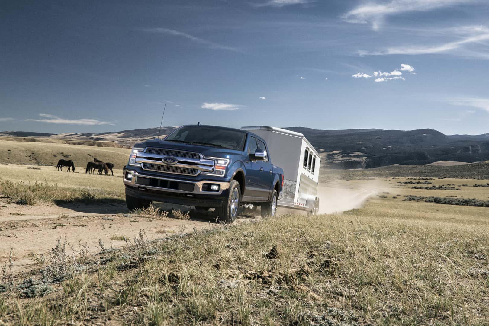 Used Ford F-150