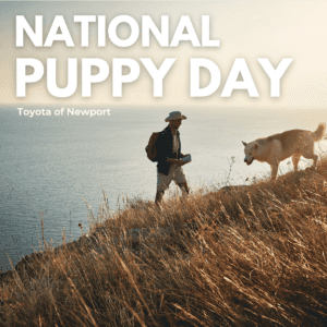 National Puppy Day Toyota of Newport written over a photograph of a man and his dog by the ocean.