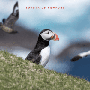 Toyota of Newport partnership with Oregon Aquarium