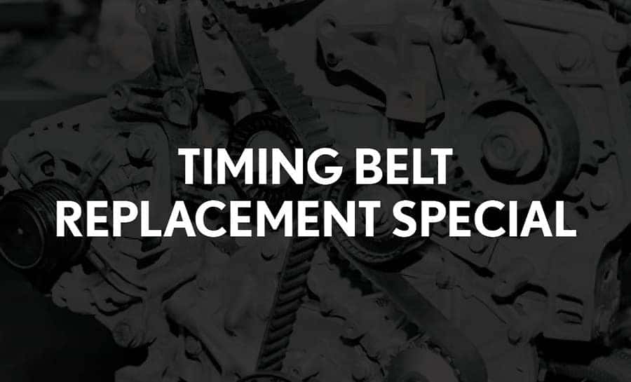 Timing Belt Special