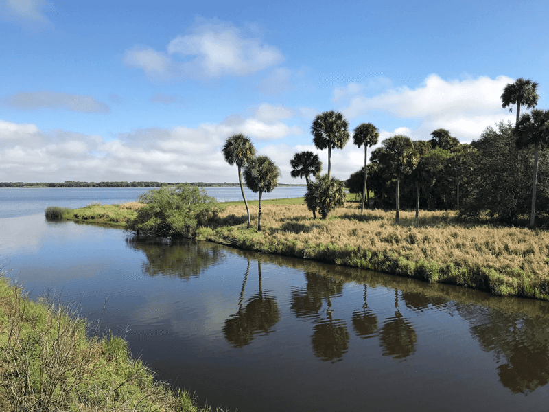 Fishing Rods for sale in South Sarasota, Florida