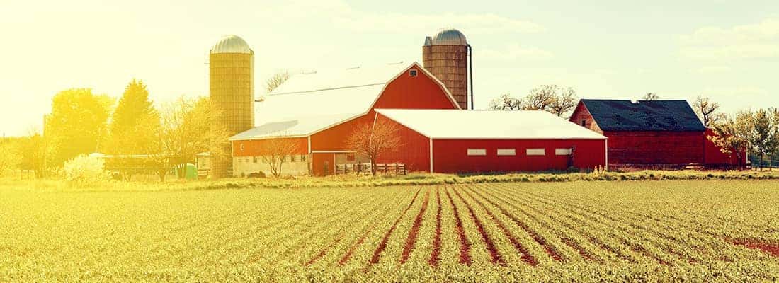 Best Farms To Visit This Fall Near Schaumburg Zeigler Chrysler